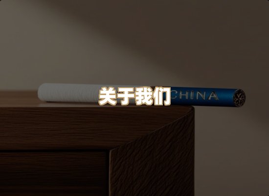 关于蓝帝网